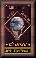 Millennium Bronze award